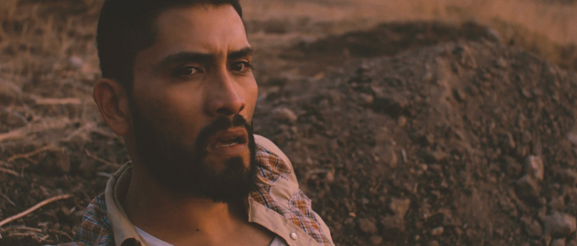 "DEJANDO LIBRE EL AMOR"