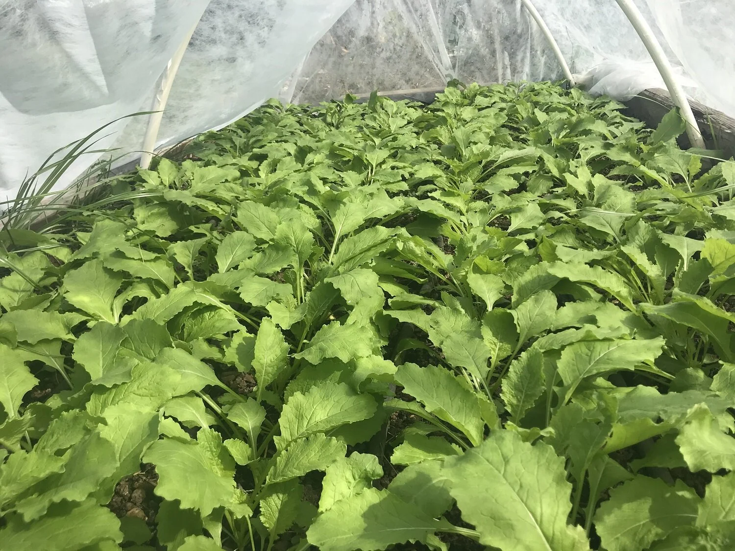 Part 6: how to build