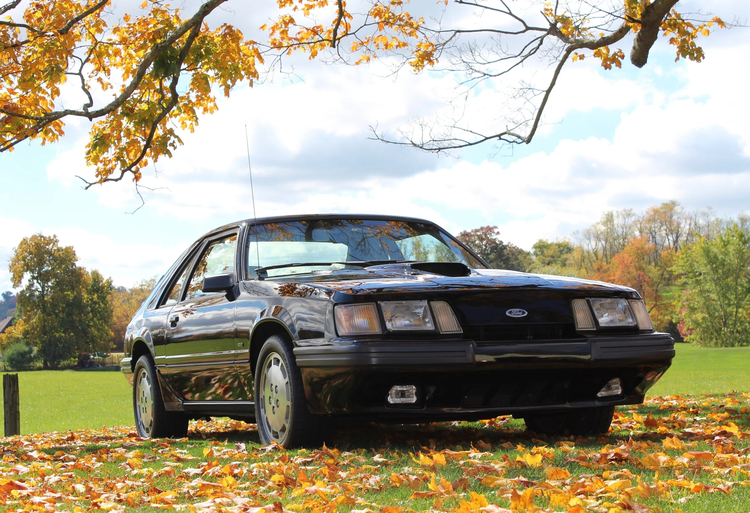 Mitch Ring - 1986 Mustang SVO - S1. Ep5.