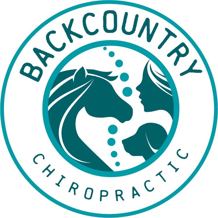 BackCountry Chiropractic