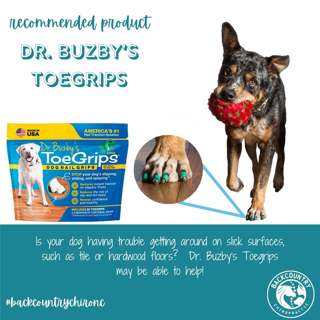 Do you have a dog that has trouble with traction on hardwood surfaces, such as hardwoods or tile?  Dr. Buzby's toegrips can help with that!  If you have questions about toegrips and if they would be helpful for your dog, bring it up at their next chi