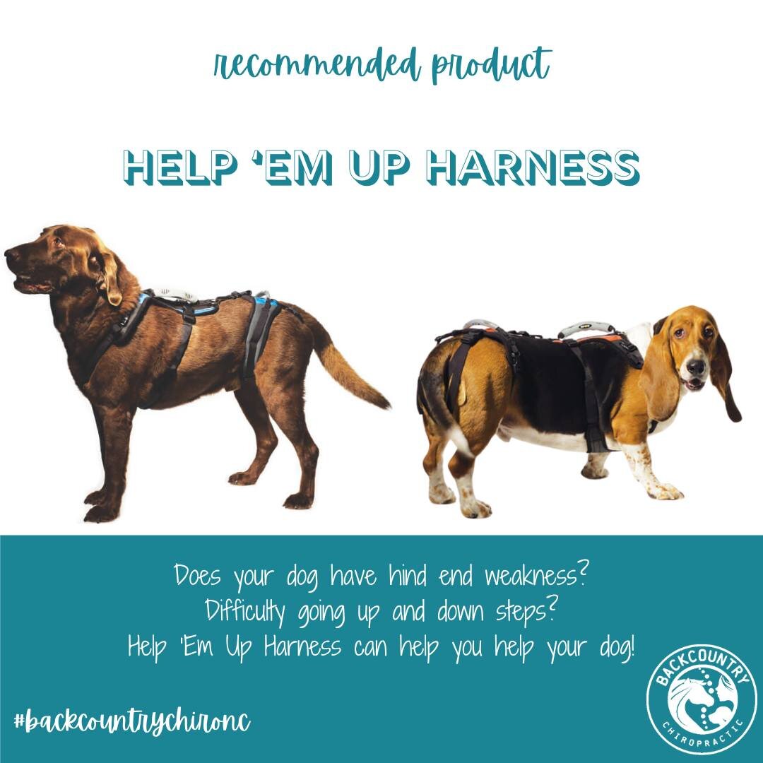 Do you have a dog that has weakness in the hind end?  Difficulty going up and down stairs?  Difficulty getting in and out of the care for appointments?  Or maybe just struggles to walk outside in the backyard?

The Help &lsquo;Em Up Harness is a uniq