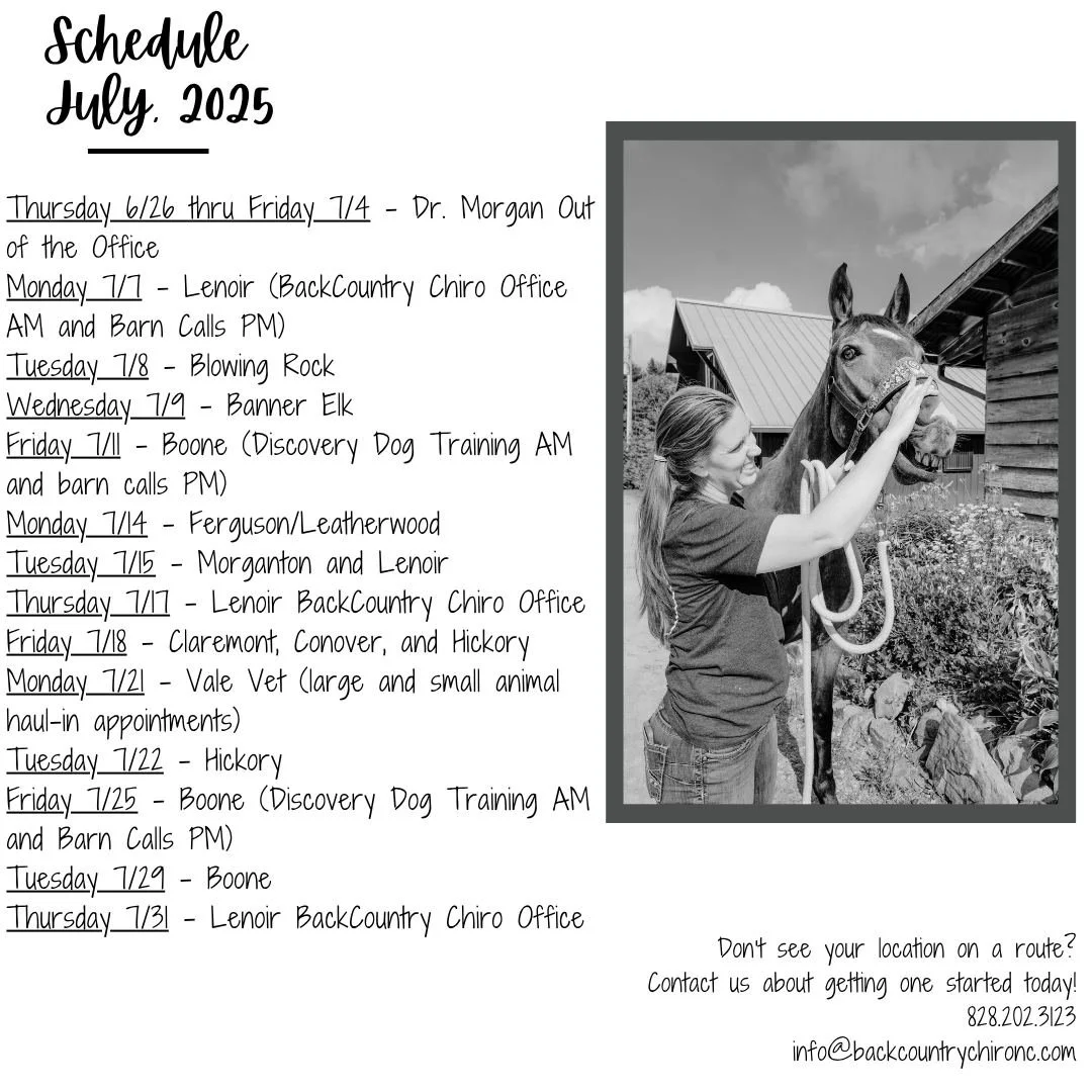 Dr. Morgan&rsquo;s current route schedule for July, 2025. See a route coming through your area, contact us today to get an appointment time!

Don&rsquo;t see your location on the list? No worries, reach out to start a route through your area or about