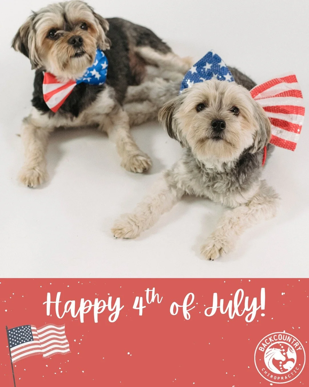 Happy 4th of July to all our wonderful practice members!