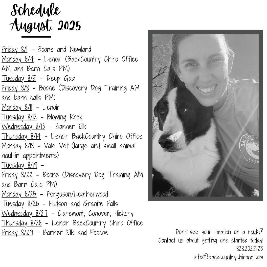 Dr. Morgan&rsquo;s current route schedule for August, 2025. See a route coming through your area, contact us today to get an appointment time!

Don&rsquo;t see your location on the list? No worries, reach out to start a route through your area or abo