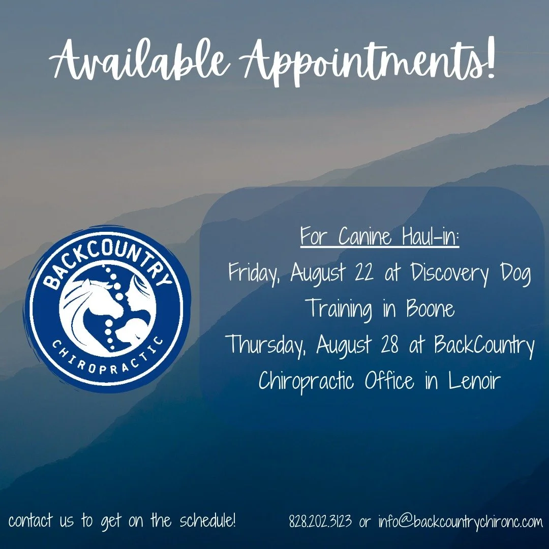 Appointments available to bring your pups in for a chiropractic adjustment this month. There are time slots on Friday, August 22 in Boone at @discoverydogtraining for the dogs in the high country and on Thursday, August 28 in Lenoir at the BackCountr