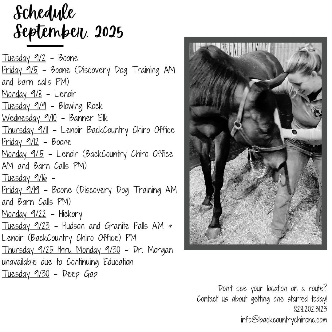 Dr. Morgan&rsquo;s current route schedule for September, 2025. See a route coming through your area, contact us today to get an appointment time!

Don&rsquo;t see your location on the list? No worries, reach out to start a route through your area or 
