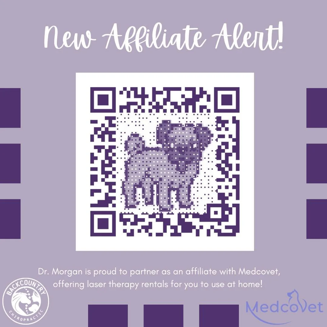 New Affiliate Alert!

We&rsquo;re excited to announce that Dr. Morgan and BackCountry Chiropractic are now official affiliates of @medcovet.luma &mdash; a leading provider of at-home light therapy rental units for pets! 🐶🐱🐴

Light therapy can help