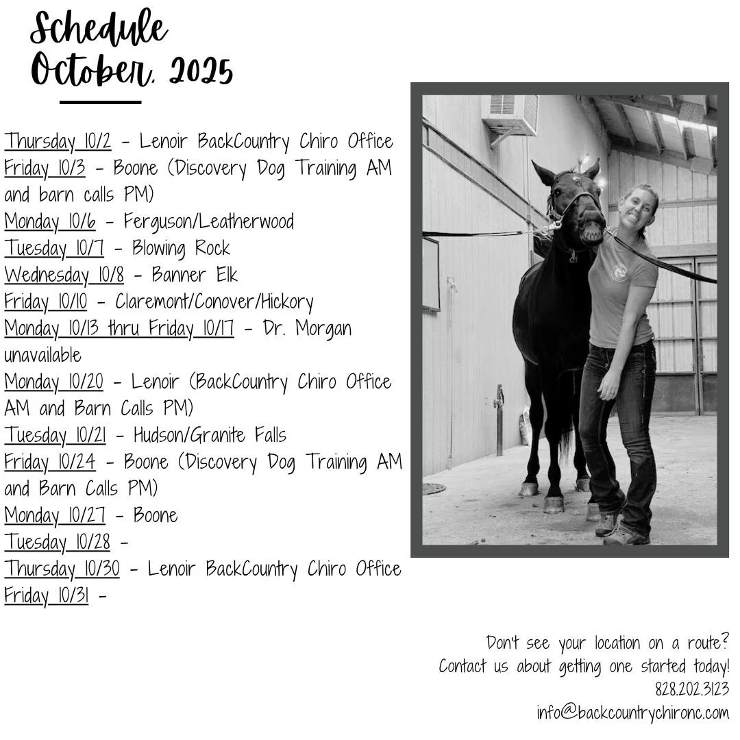 Dr. Morgan&rsquo;s current route schedule for October, 2025. See a route coming through your area, contact us today to get an appointment time!

Don&rsquo;t see your location on the list? No worries, reach out to start a route through your area or ab