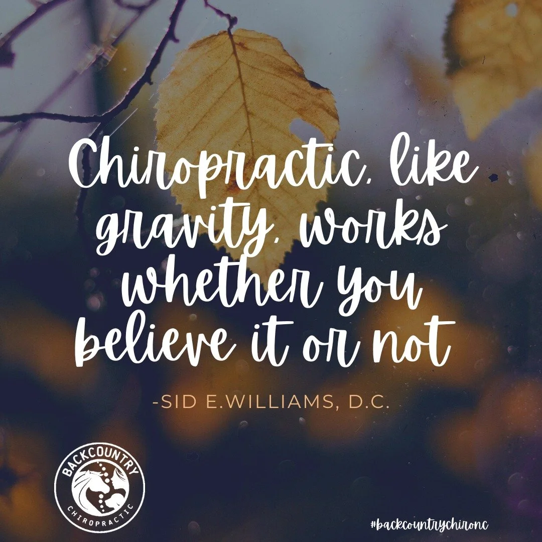 🍂🍂🍂

#backcountrychironc #backcountryanimalchiropractic #mobilechiropractor #animalchiropractor #equinechiropractor #caninechiropractor #horseandriderchiropractor #northcarolinachiropractor #downtownlenoirnc #highcountrync #foothilllsnc #828isgrea