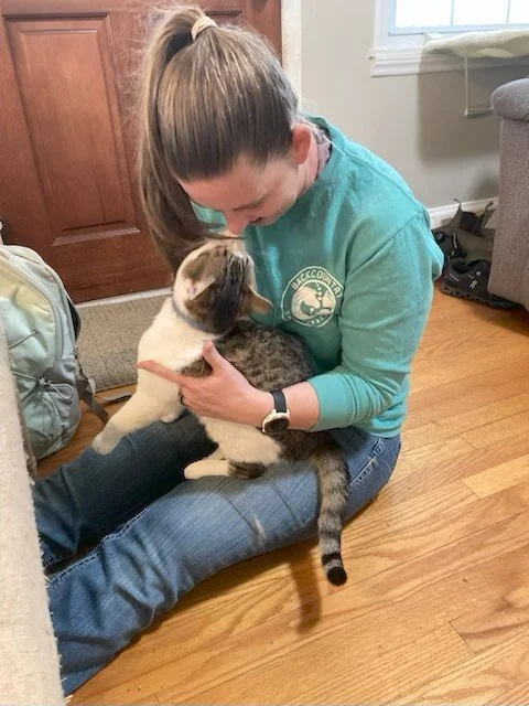 Happy National Cat Day! 🐱
Did you know cats can benefit from chiropractic care too?
Adjustments help improve mobility, comfort, and flexibility.  And our feline friends respond great to chiropractic care!

Because every cat deserves to feel their be