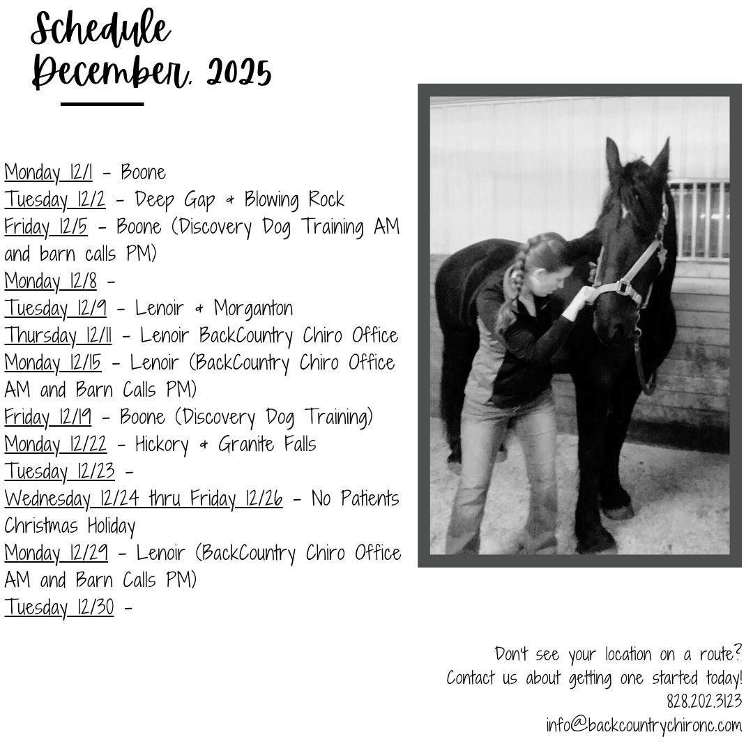 Dr. Morgan&rsquo;s current route schedule for December, 2025. See a route coming through your area, contact us today to get an appointment time!

Don&rsquo;t see your location on the list? No worries, reach out to start a route through your area or a