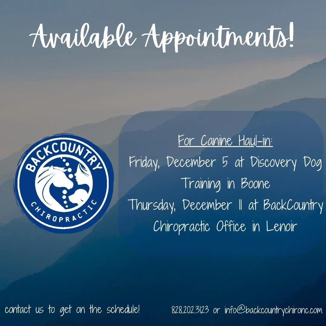 Appointments available for dogs this Friday in Boone at Discovery Dog Training and next Thursday at our office in downtown Lenoir.  Contact us to get your pup on the schedule and adjusted before the holidays! 828.202.3123

#backcountrychironc #backco