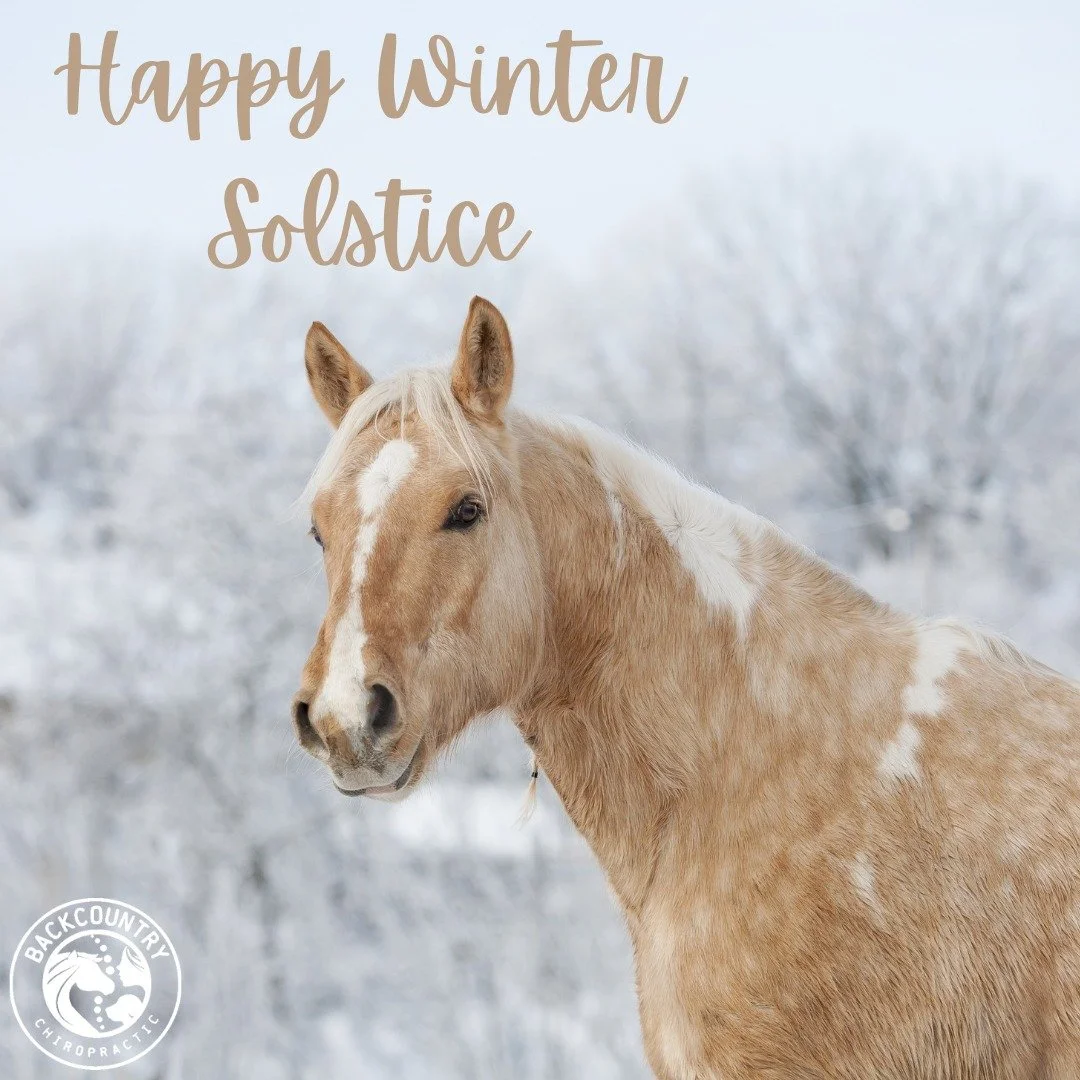 Happy Winter Solstice!

And to all the people that have outside animals, after today daylight hours start getting longer #ifykyk

#backcountrychironc #backcountryanimalchiropractic #wintersolstice #moredaylightplease