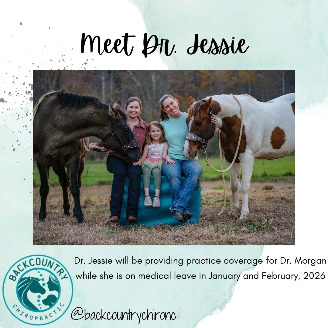 Meet Dr. Jessie! 🐾💚

While Dr. Morgan takes a medical leave this winter, we&rsquo;re thrilled to have Dr. Jessie Tyndall providing care for our BackCountry Chiropractic patients!

Dr. Jessie is a recent graduate of Sherman College of Chiropractic a