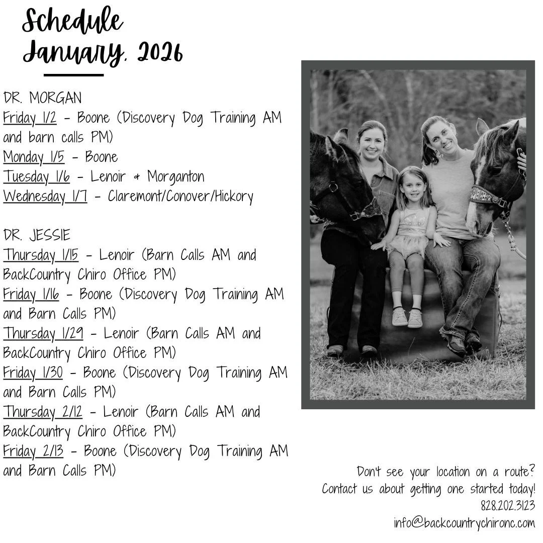 Current route schedule for January, 2026. See a route coming through your area, contact us today to get an appointment time!

Dr. Morgan will be going out on medical leave beginning January 8.  We are so grateful to have Dr. Jessie Tyndall providing 
