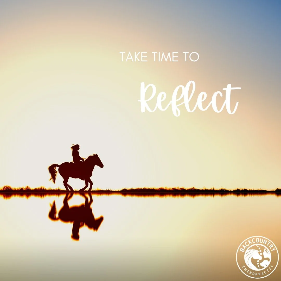 As 2025 comes to a close, take a moment to reflect &mdash; on the joy, the challenges, the growth, and the lessons learned along the way.

The New Year offers a chance to bring balance into our lives &mdash; letting the positive outweigh the negative