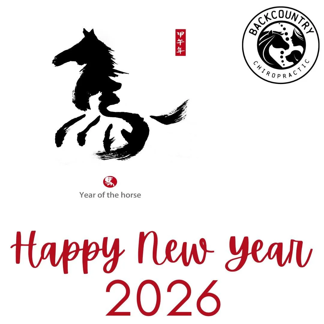 The New Year has arrived &mdash; a time for fresh beginnings, renewed purpose, and forward momentum.

2026 is the Year of the Horse &mdash; a symbol of strength, energy, and freedom. May this year inspire you to move boldly toward your goals, with ba