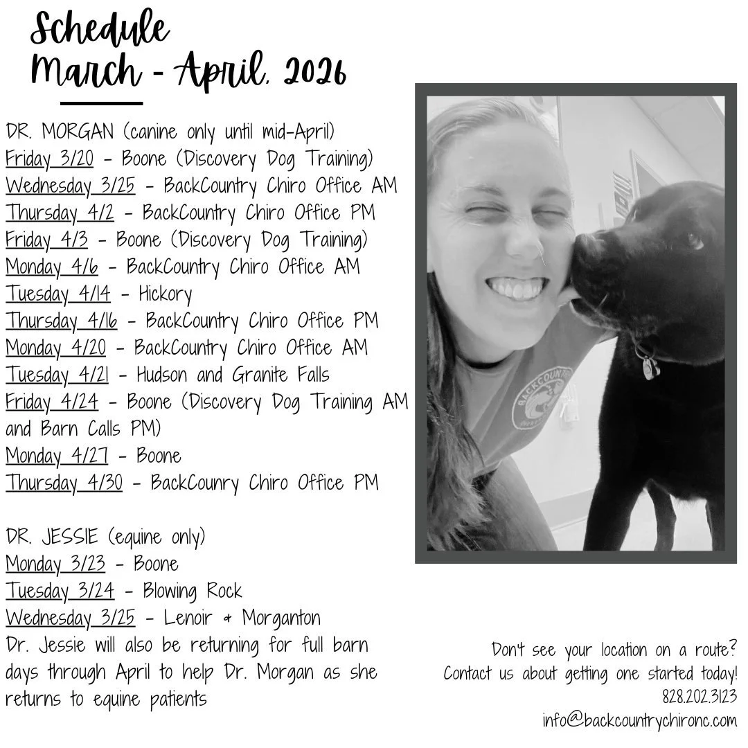 ✨ Updated Route Schedule &ndash; March &amp; April ✨

We&rsquo;ve updated our route schedule for both Dr. Morgan and Dr. Jessie! If you see a route coming through your area, reach out today to reserve your appointment time.

Dr. Morgan will be seeing