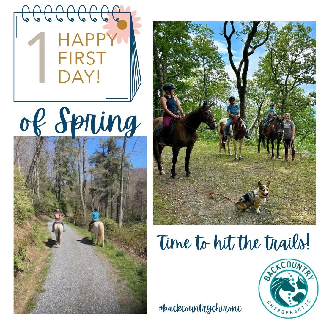 Happy First Day of Spring from Backcountry Chiropractic! With everything coming in bloom, warmer weather and outdoor activities like hikes and trail rides ahead, get your pet on the schedule for chiropractic care.

#northcarolinachiropractor #backcou