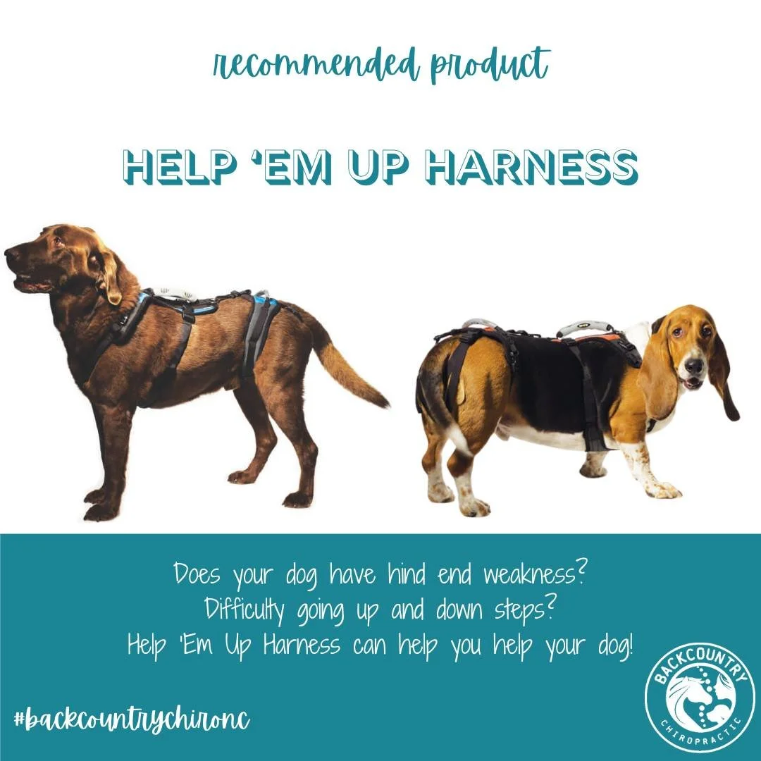 🐾 Wellness Wednesday 🐾

A product recommendation to support both you and your dog.

Does your dog struggle with:
-> Weakness in the hind end
-> Going up and down stairs
-> Getting in and out of the car
-> Moving comfortably around the y