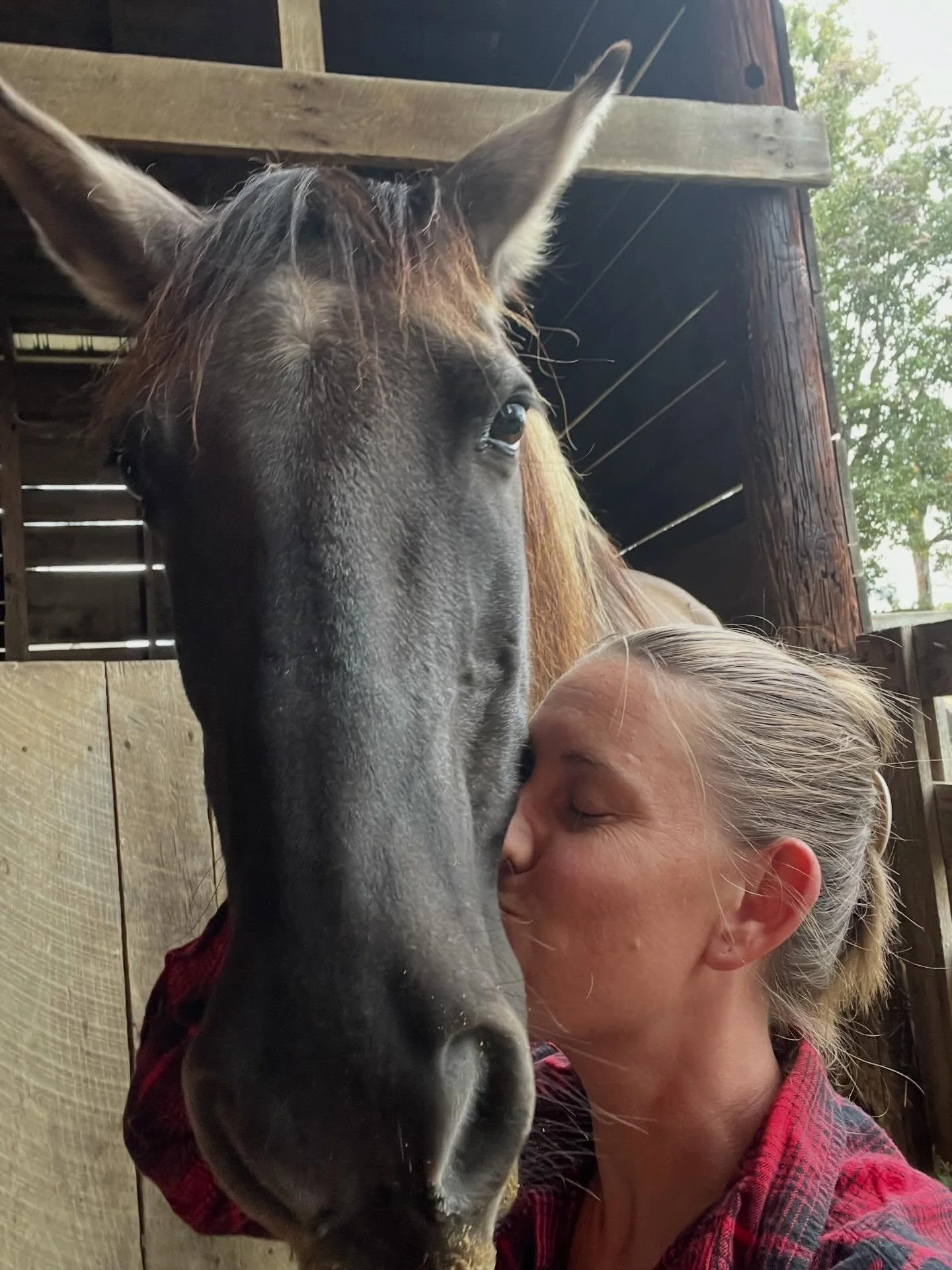 Sage,

My steady, faithful boy&mdash;thank you for a lifetime of love and strength. From your wild beginnings out in Utah to the gentle presence you became in my life, you carried so much heart in that small frame. I was lucky to grow up around you, 