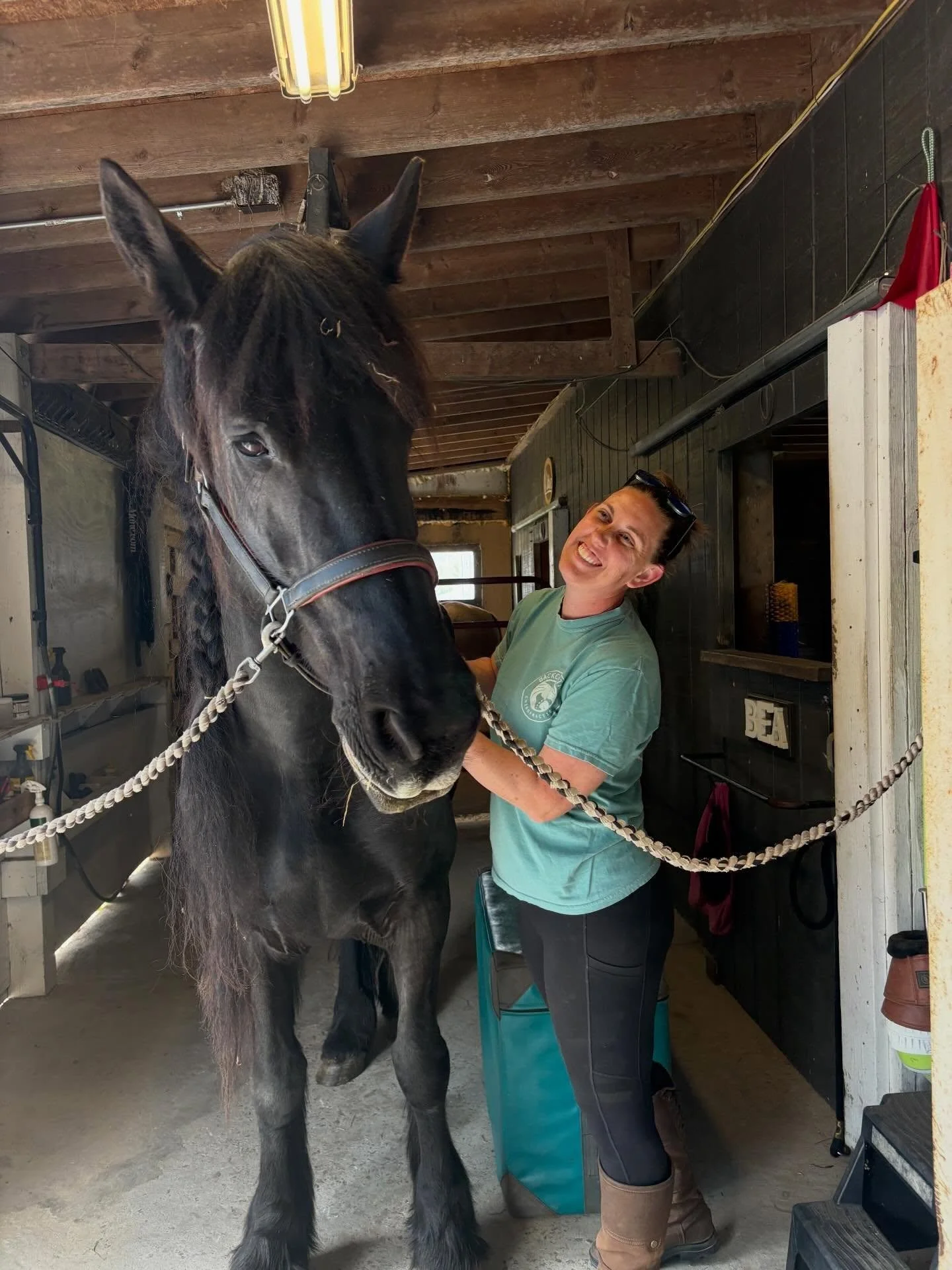 Back in the barn ❤️🐴

I adjusted my first horse since my surgery, and it feels so good to be out doing what I love again! I&rsquo;m not 100%, but I am getting stronger every day - one step and one patient at a time

So thankful to have Dr. Jessie @b