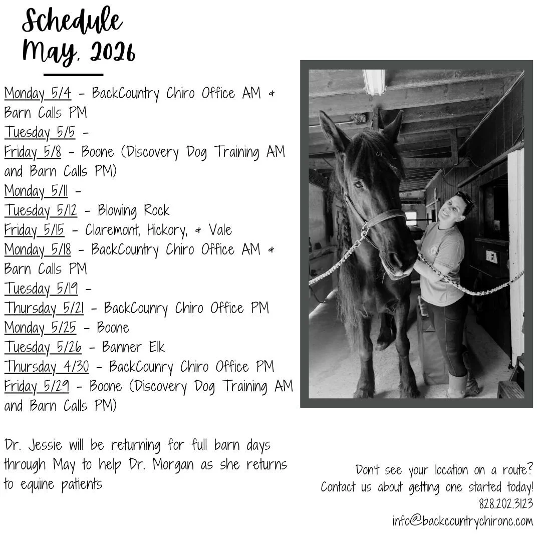 ✨ Route Schedule &ndash; May ✨

Dr. Morgan&rsquo;s May route schedule is here! If you see a route coming through your area, reach out today to reserve your appointment time.

Dr. Morgan is in the process of returning to equine patients, and Dr. Jessi