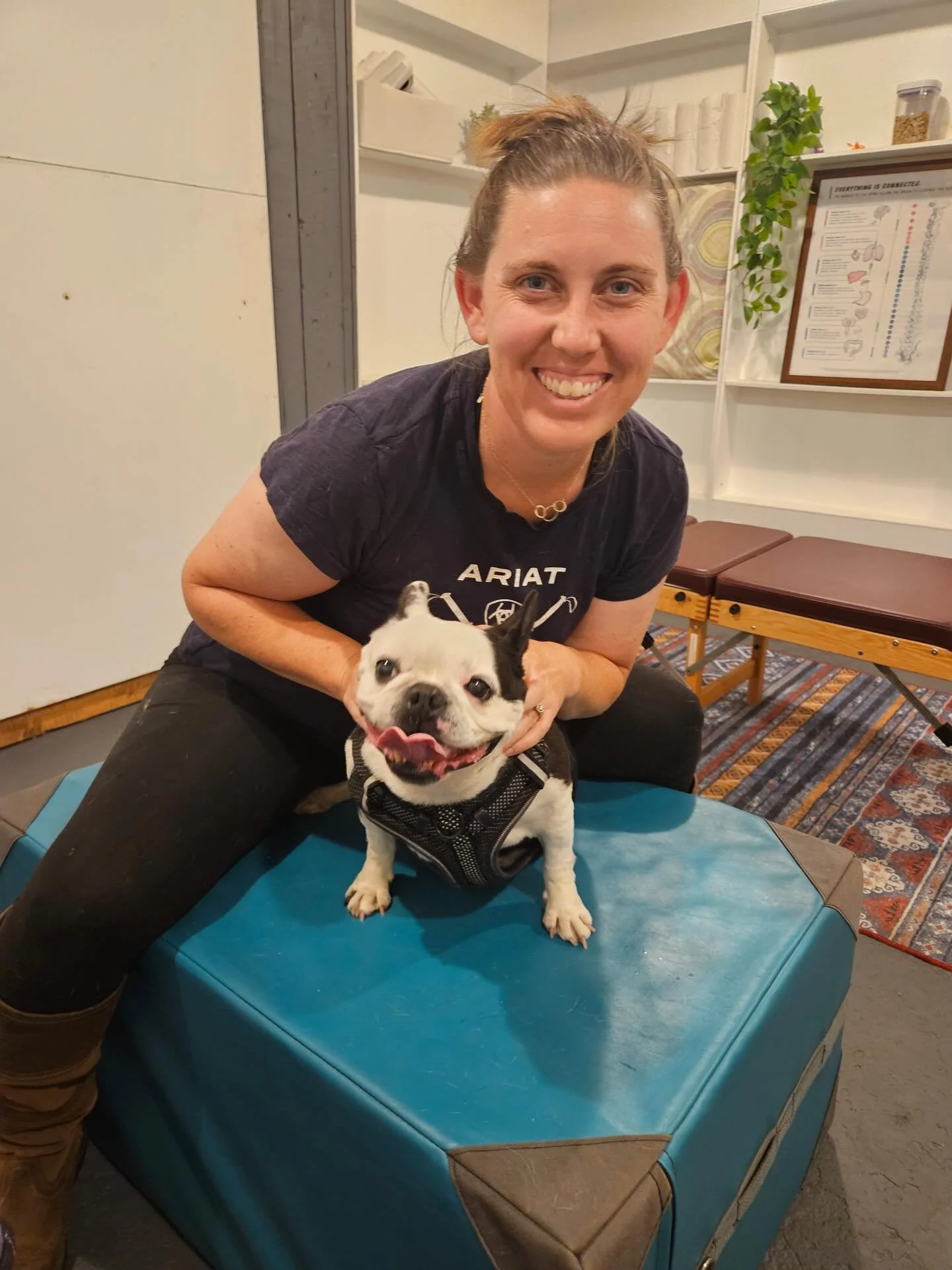 May everyone be as happy as sweet Mollie Mae and Dottie when they get adjusted 🥰

#backcountrychironc #backcountryanimalchiropractic #caninechiropractor #oneadjustmentawayfromagoodmood