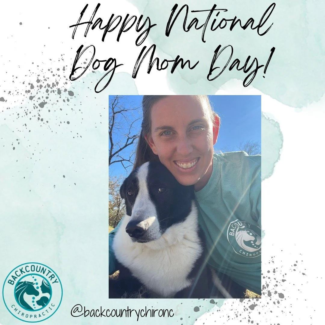Happy National Dog Mom Day 🐶💕

From muddy paw prints to couch cuddles, being a dog mom is a full-time kind of love&mdash;and we wouldn&rsquo;t have it any other way.

Today we celebrate the bond, the chaos, and the unconditional love that makes it 