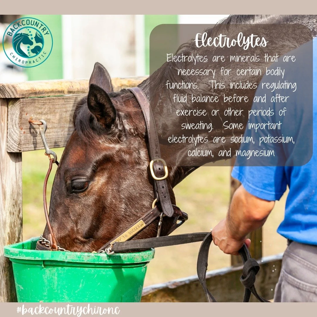 Do you add electrolytes into your horse&rsquo;s feed or water? 

If not, it is definitely something you should consider as we not only start riding and working our horses more but also as the temperatures swing during seasonal changes

As always make