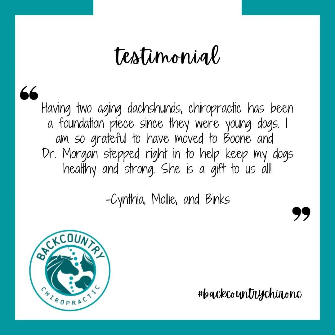 Testimonial Tuesday!

#backcountrychironc #backcountryanimalchiropractic #testimonialtuesday #chiropractictransformations #animalchiropractor #caninechiropractor #spinesofallkinds #828isgreat #foothillsnc #highcountrync #benefitsofchiropractic #motio