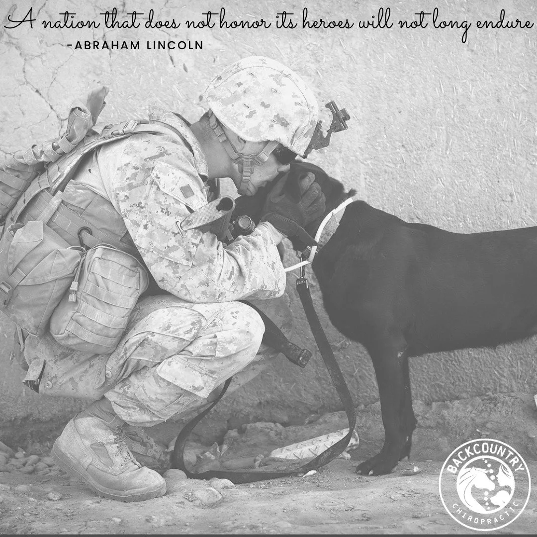 Remembering and honoring all of our nation&rsquo;s heroes &mdash; both two-legged and four-legged &mdash; who gave everything for our freedom ❤️🤍💙

Today we pause in gratitude for the courage, sacrifice, and service that will never be forgotten.

#