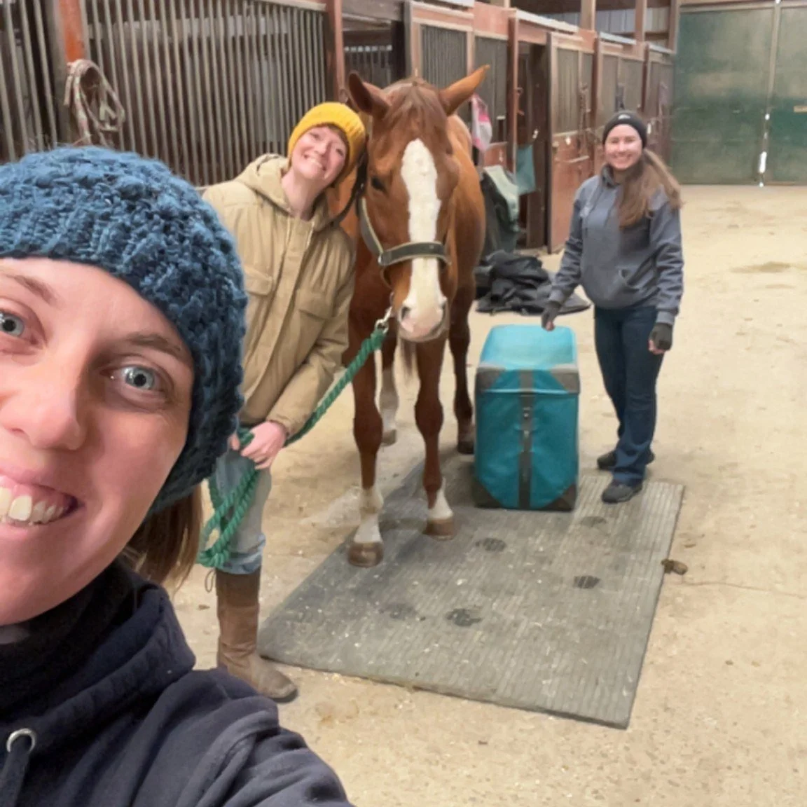 I want to give one more huge thank you to Dr. Jessie Tyndall 💚🐾

This week marked Dr. Jessie&rsquo;s final planned coverage day with BackCountry Chiropractic as I continue transitioning back into practice, and I truly cannot put into words how grat