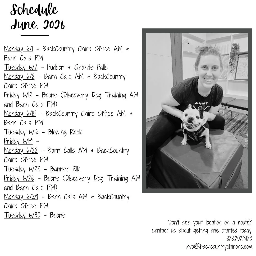 ✨ Route Schedule &ndash; June ✨

Dr. Morgan&rsquo;s June route schedule is here! If you see a route coming through your area, reach out today to reserve your appointment time.

Dr. Morgan is now seeing equine patients again and working up to full tim