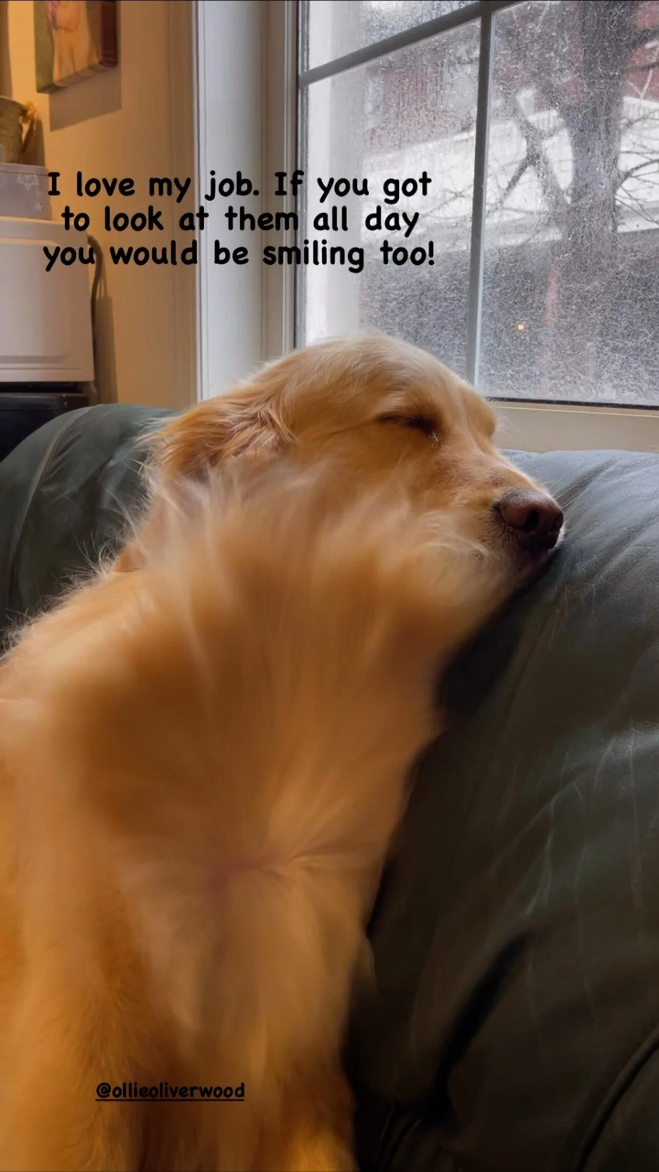 Beauty and the Beast Grooming