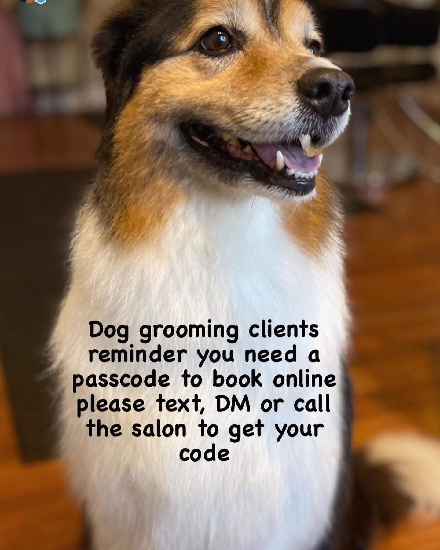 Reminder to all dog grooming clients you need a passcode to book online. Please DM , text or call to get access