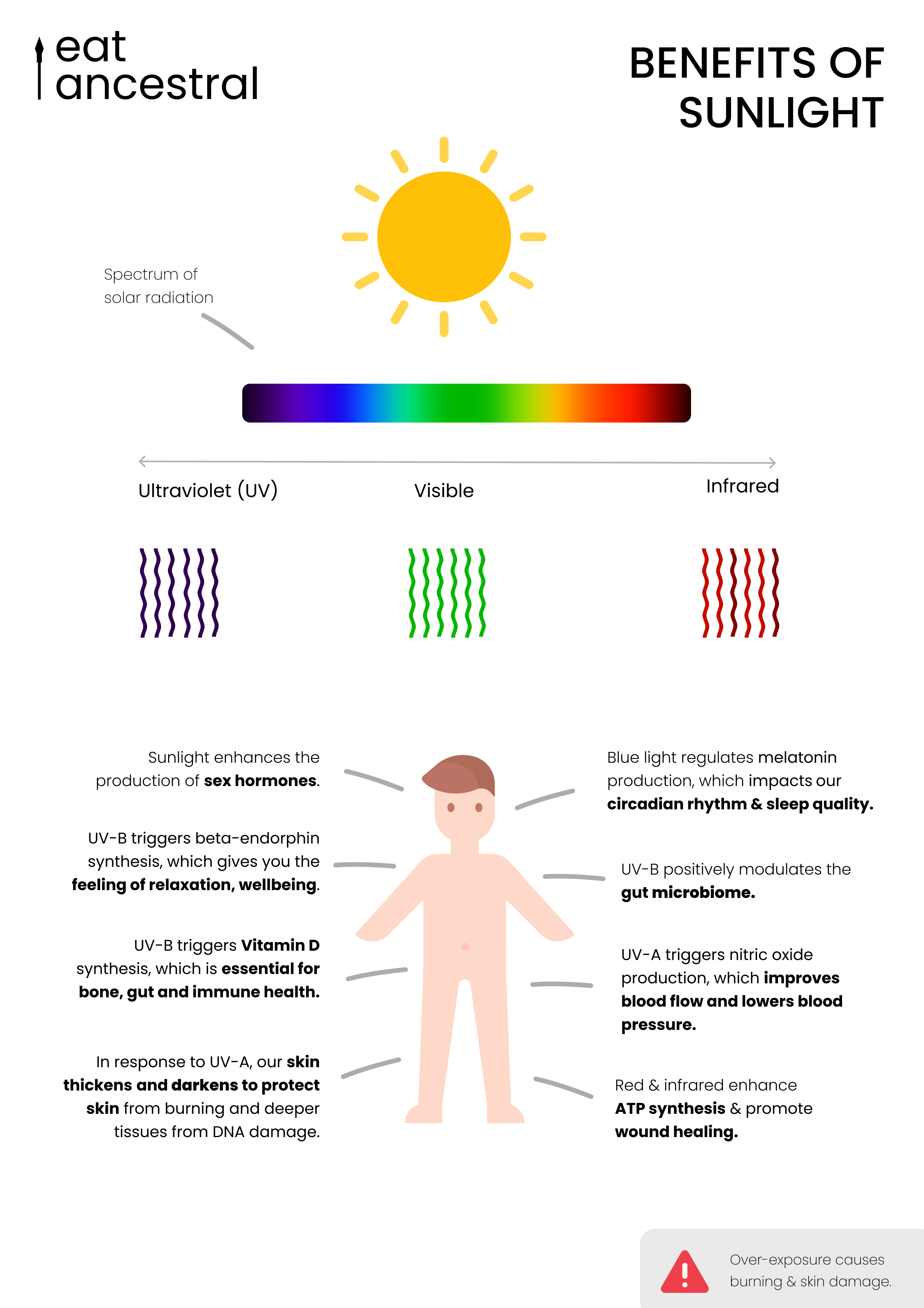 Benefits of sunlight — eat ancestral