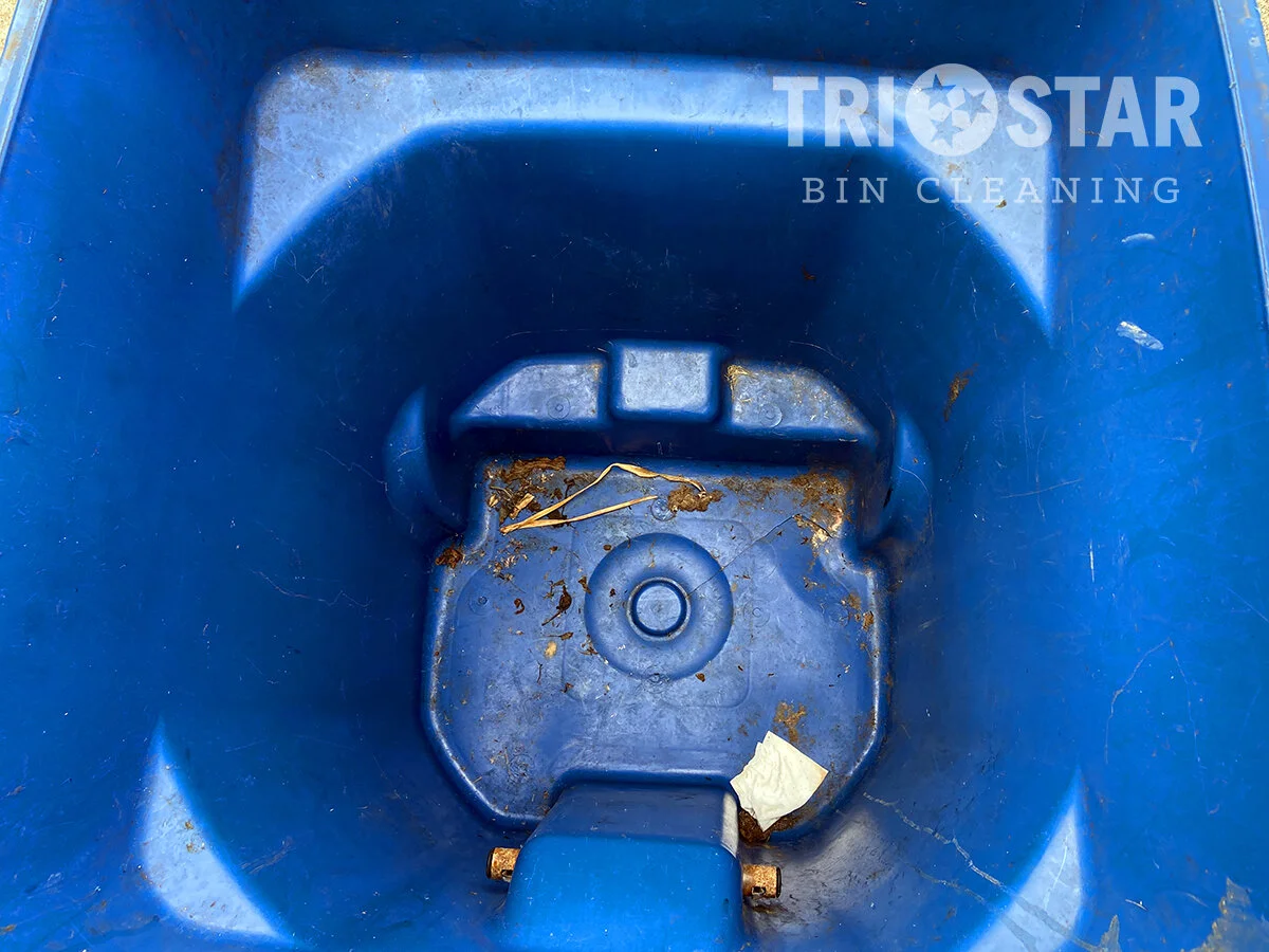 Trash Can Cleaning Before and After Images