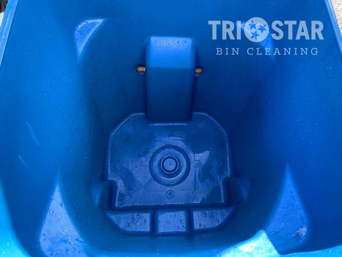 Trash Can Cleaning Before and After Images