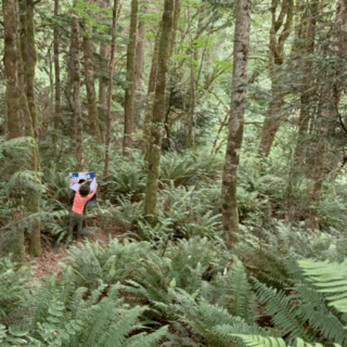 C41C1A02-DEED-4D01-A642-0A7AB7BB9AF4