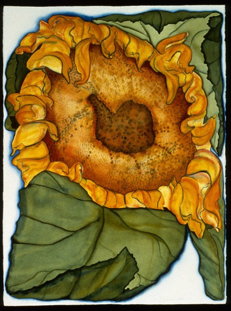sunflower.sm.jpeg
