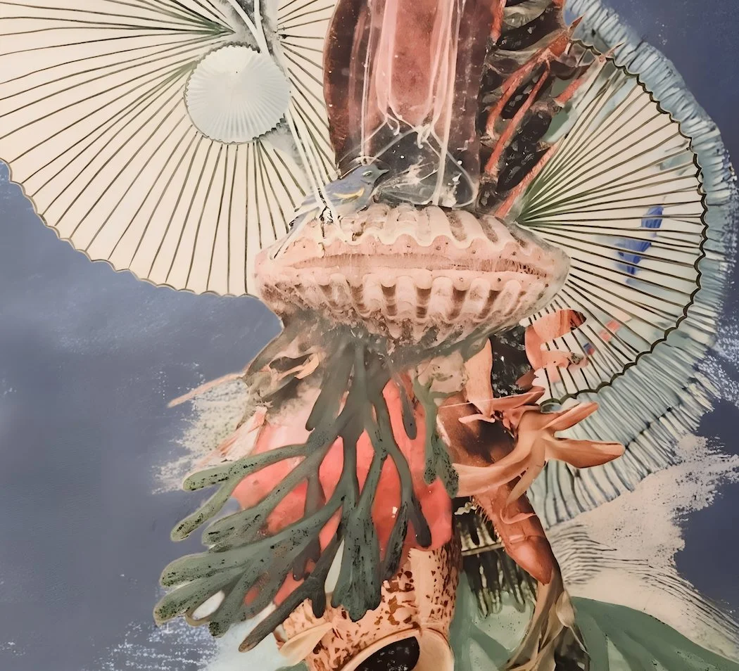 Art as Self Discovery: Mixed Media Art at Sebastopol Center for the Arts
