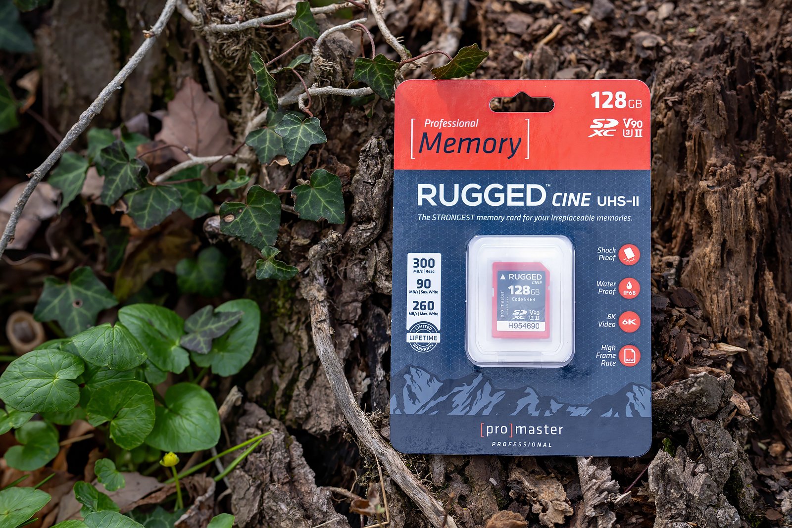 ProMaster Rugged Cine SDXC and Reader PetaPixel 3.jpg