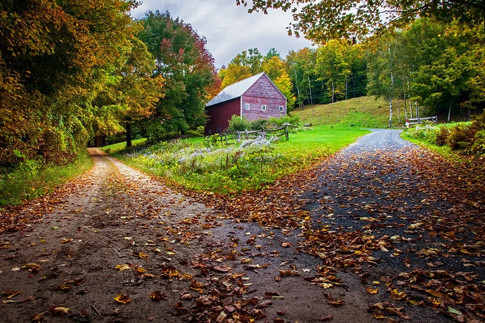 autumn-03936v2forweb.jpg