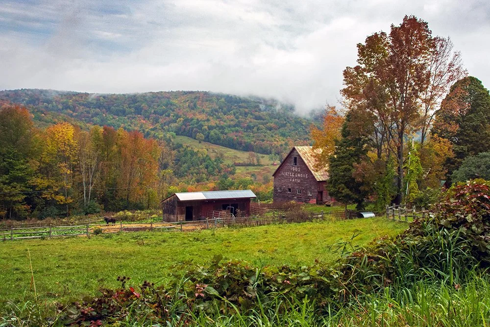 autumn-04059web.jpg