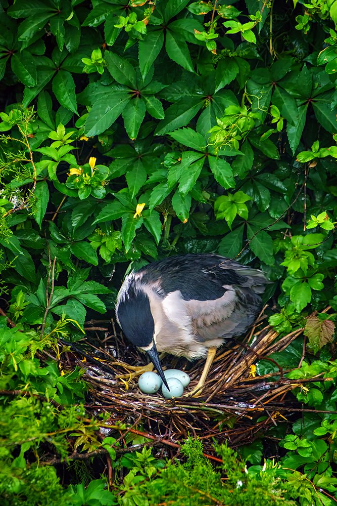 DSC03209-1v2-t-dv2 web.jpg