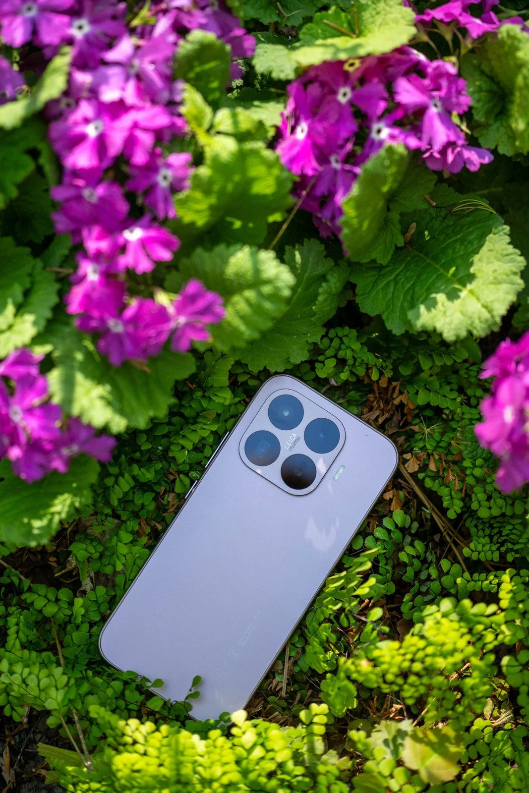Xiaomi 17T Series by Kate Garibaldi DSC09074.jpg