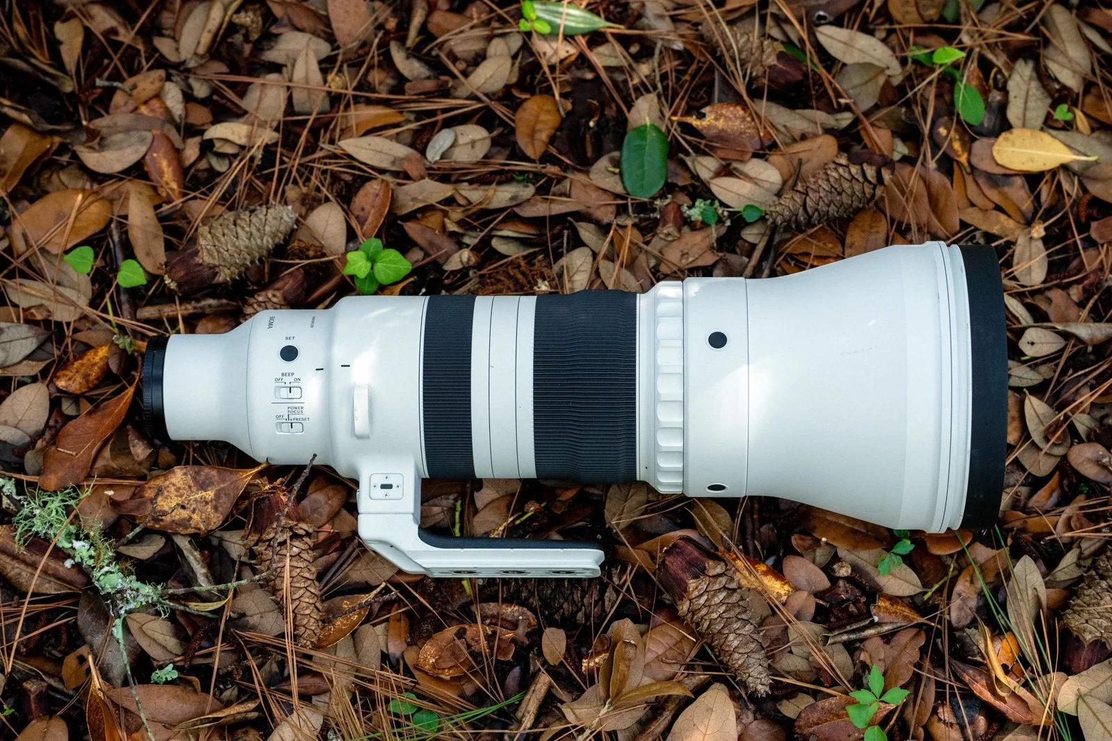 Sigma 300-600mm PetaPixel Kate G 2.jpg