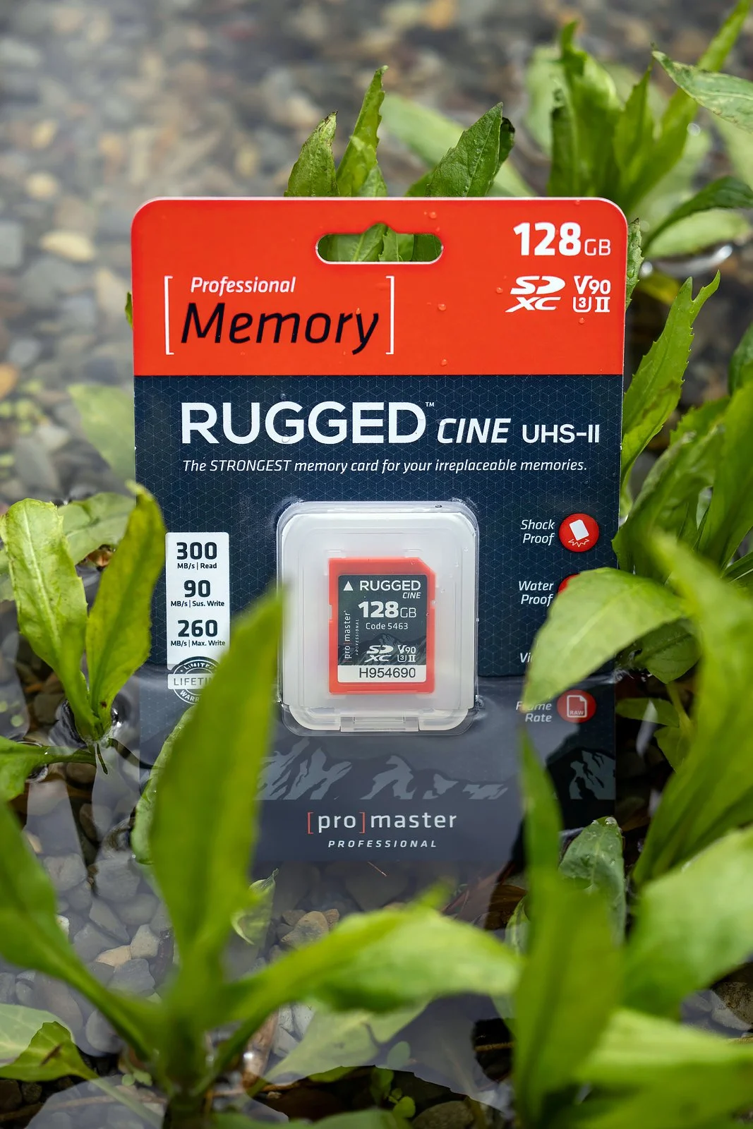 ProMaster Rugged Cine SDXC and Reader PetaPixel 5.jpg